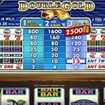 Double Gold Slot Game