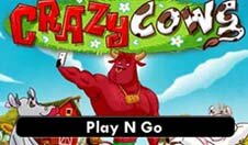 Play n Go Slots logo