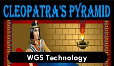 WGS Technology Free Slots logo